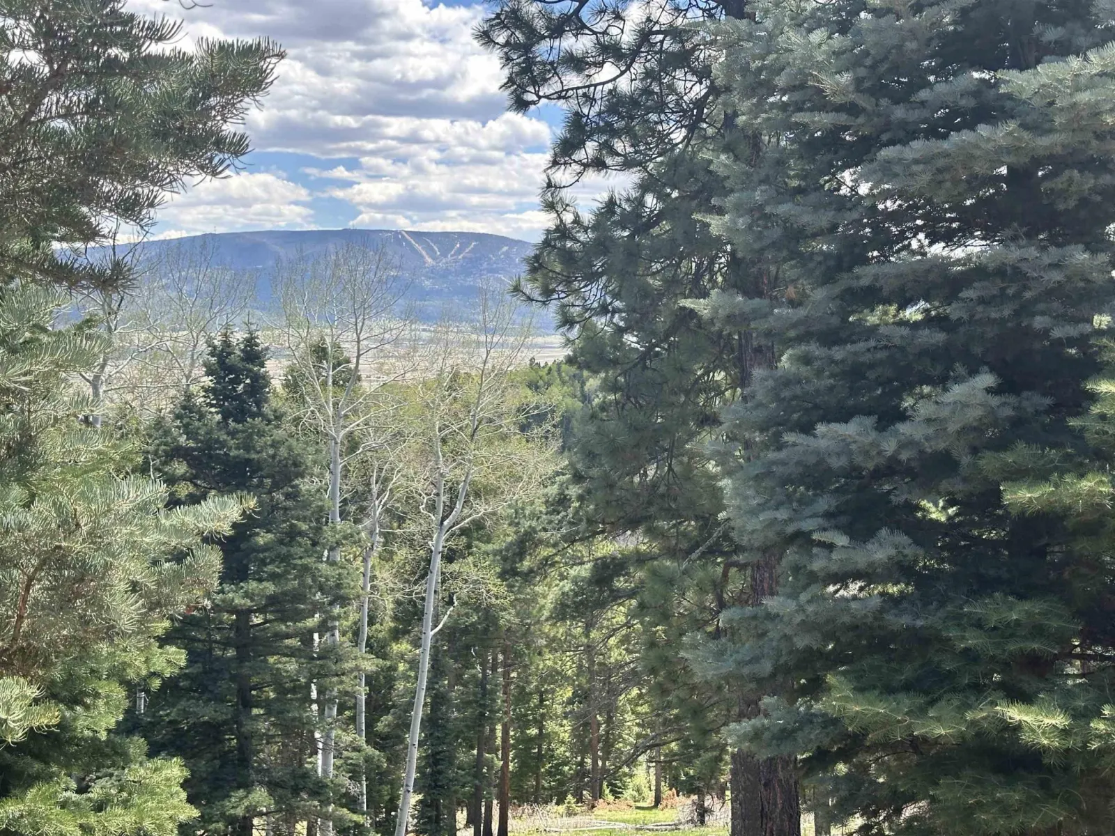 Lot 91AB Pam Coleman Drive