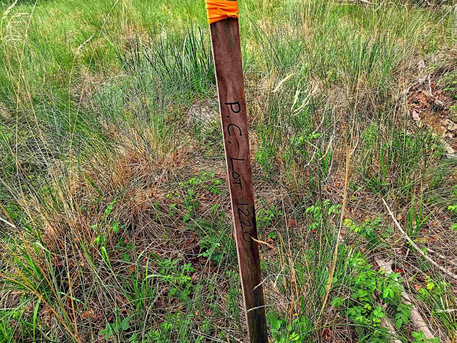 Lot 1220 Rainbow Overlook