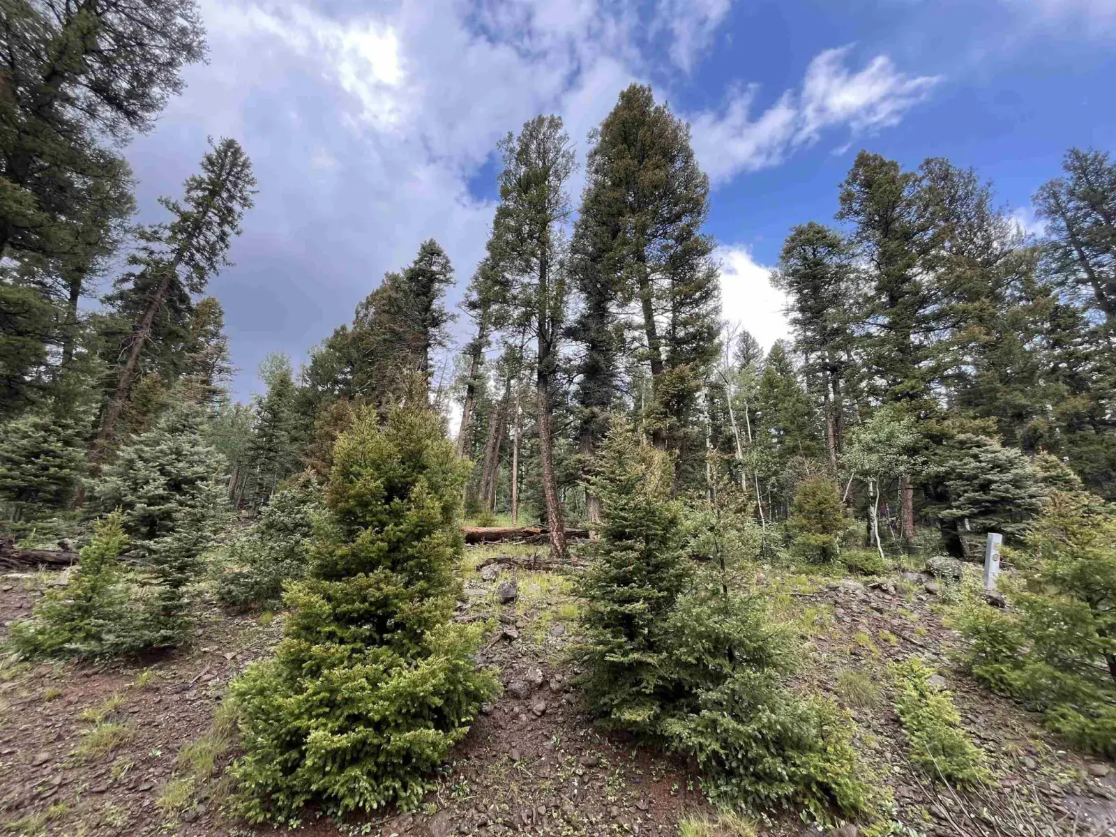 Lot 1498 Vista Del Sur