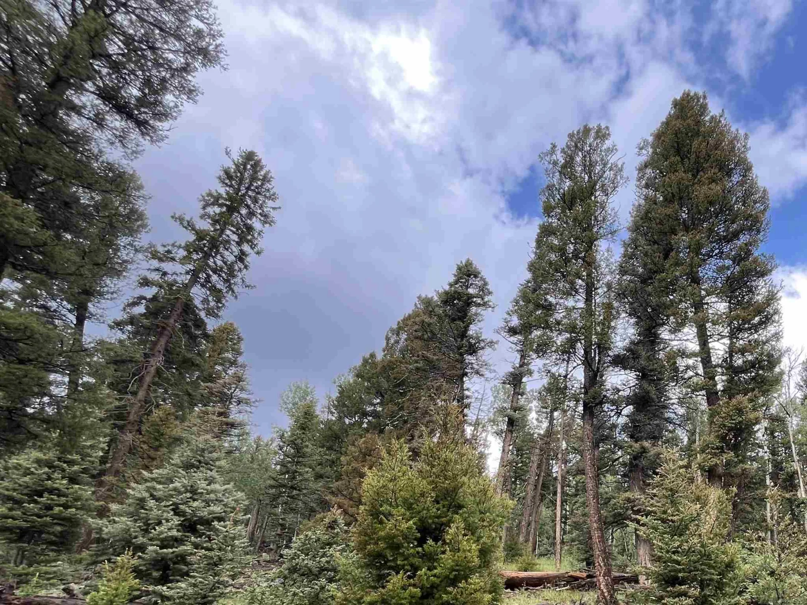 Lot 1498 Vista Del Sur