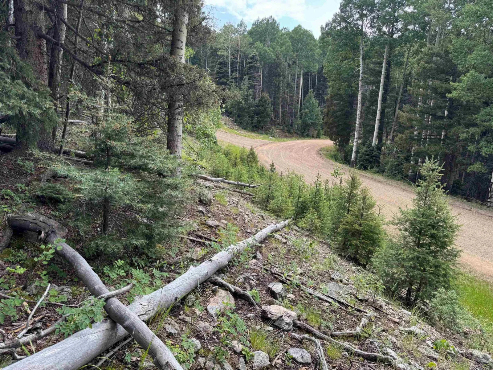 Lot 141 Back Basin Rd