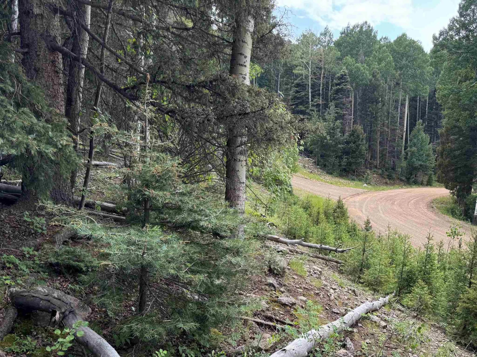 Lot 141 Back Basin Rd
