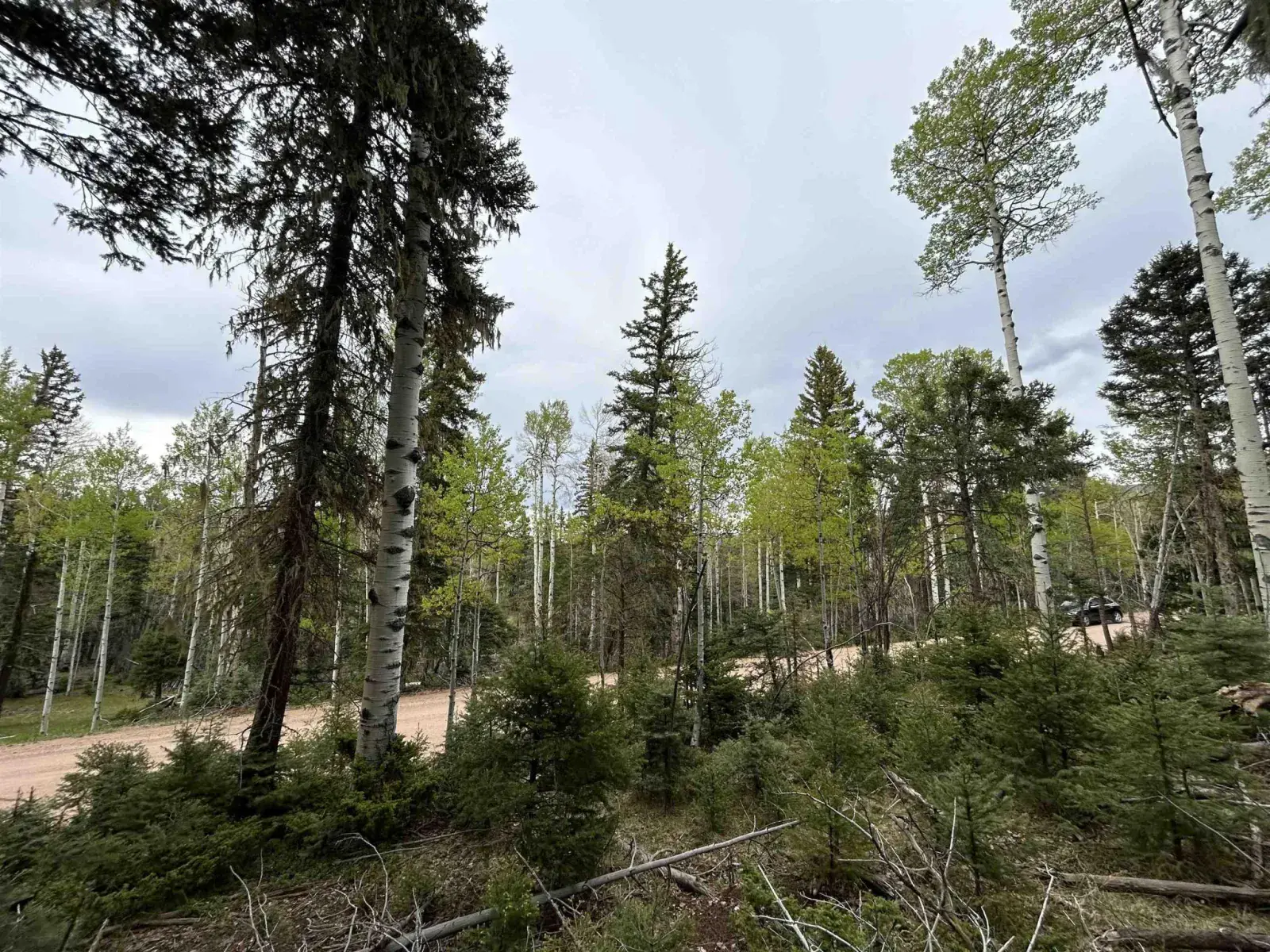 Lot 132 Rio Grande Terrace