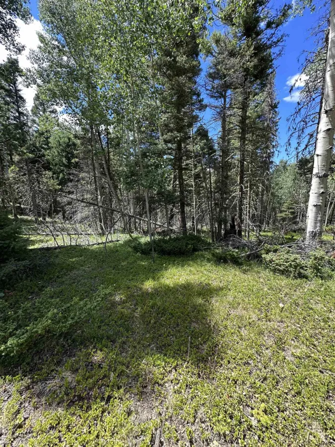 Lot 1433 Calle De Los Caballeros