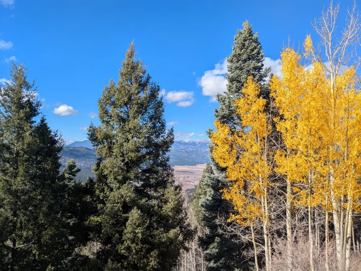 Lot 602 Panorama Way