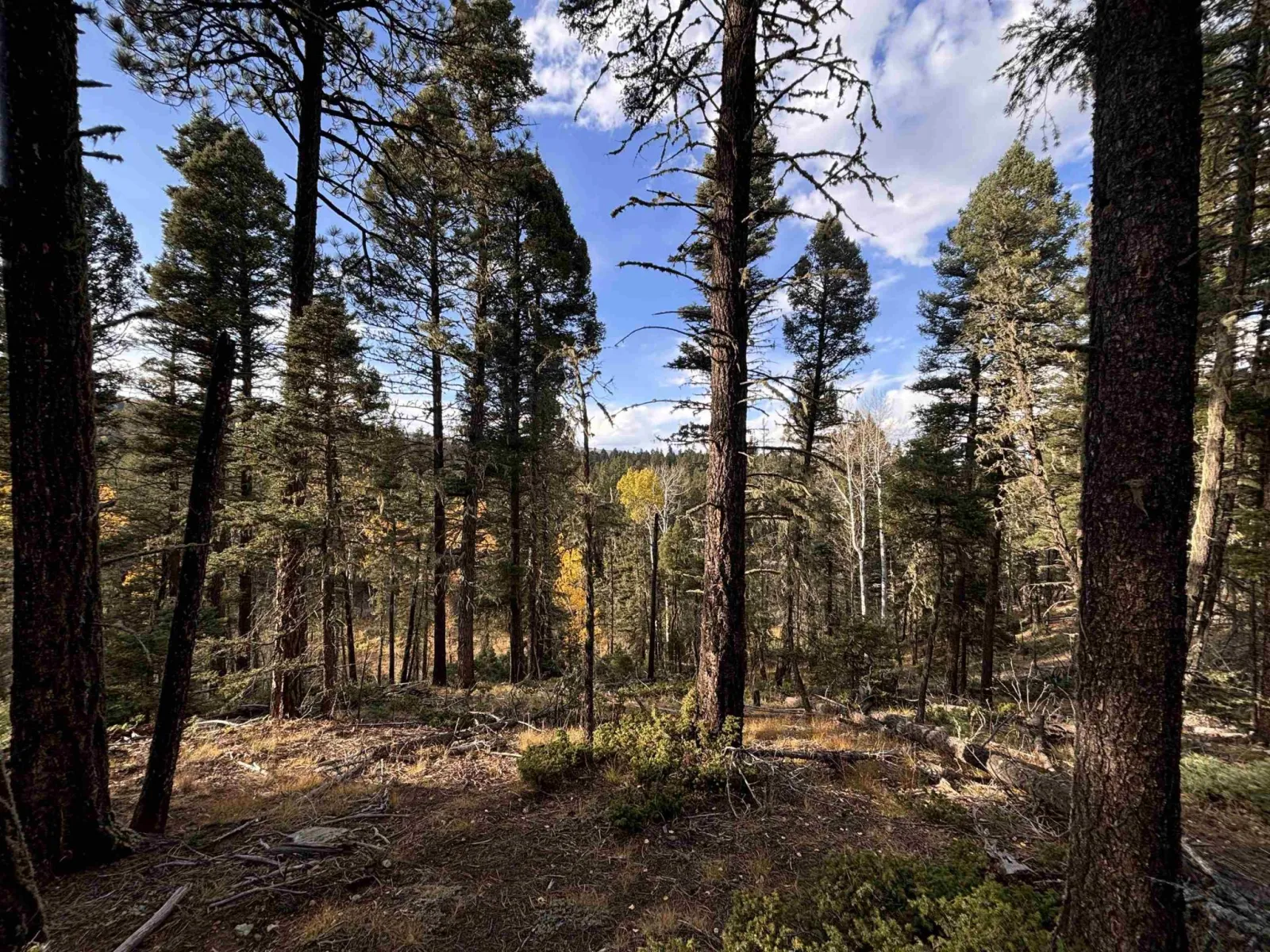 Lot 11 Lakewood Way