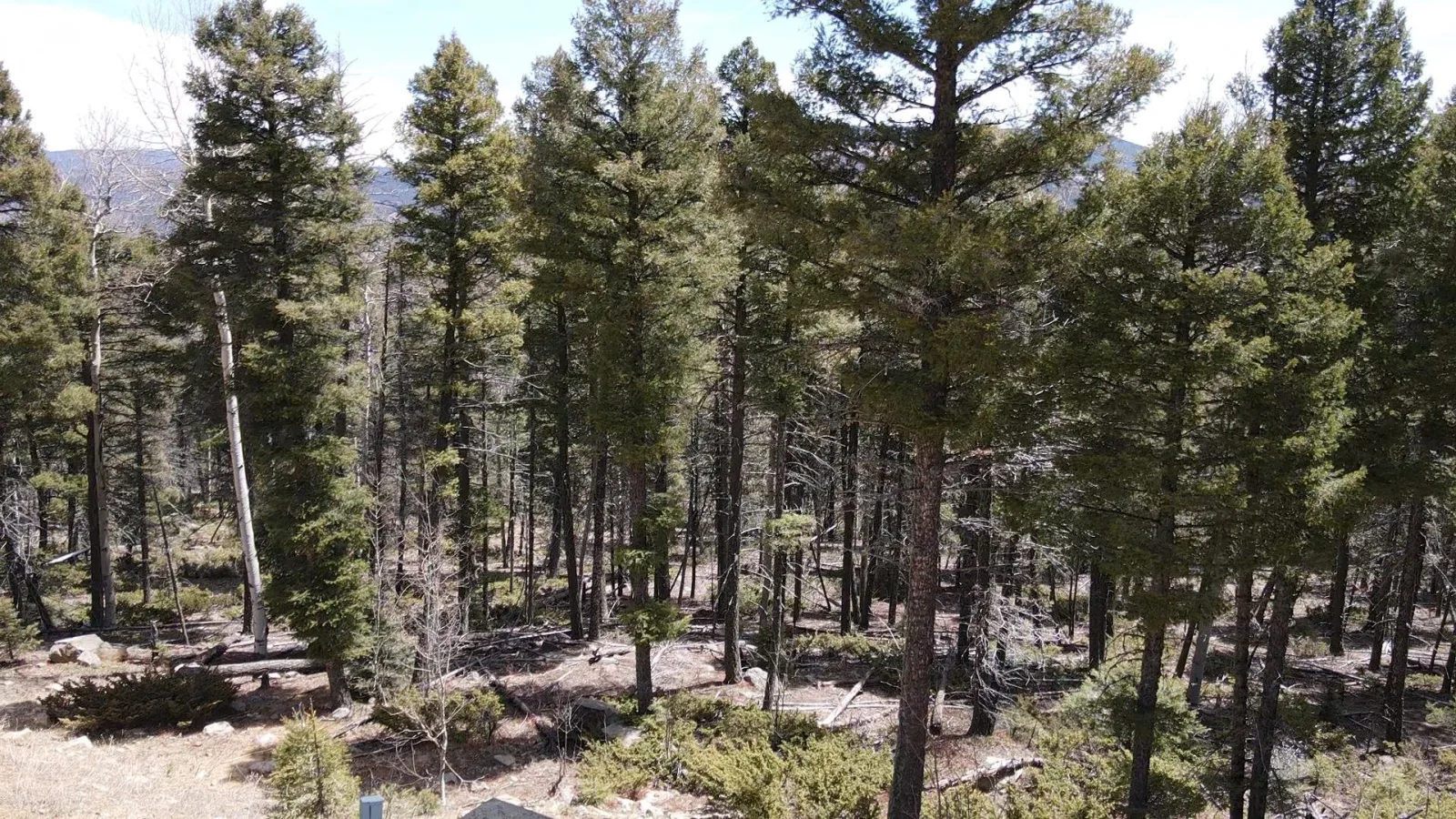 Lot 101 Zia Rd