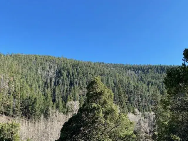 Taos Canyon X Sombra del Oso Rd