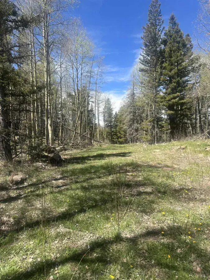 Lot 86 Elk Horn Drive