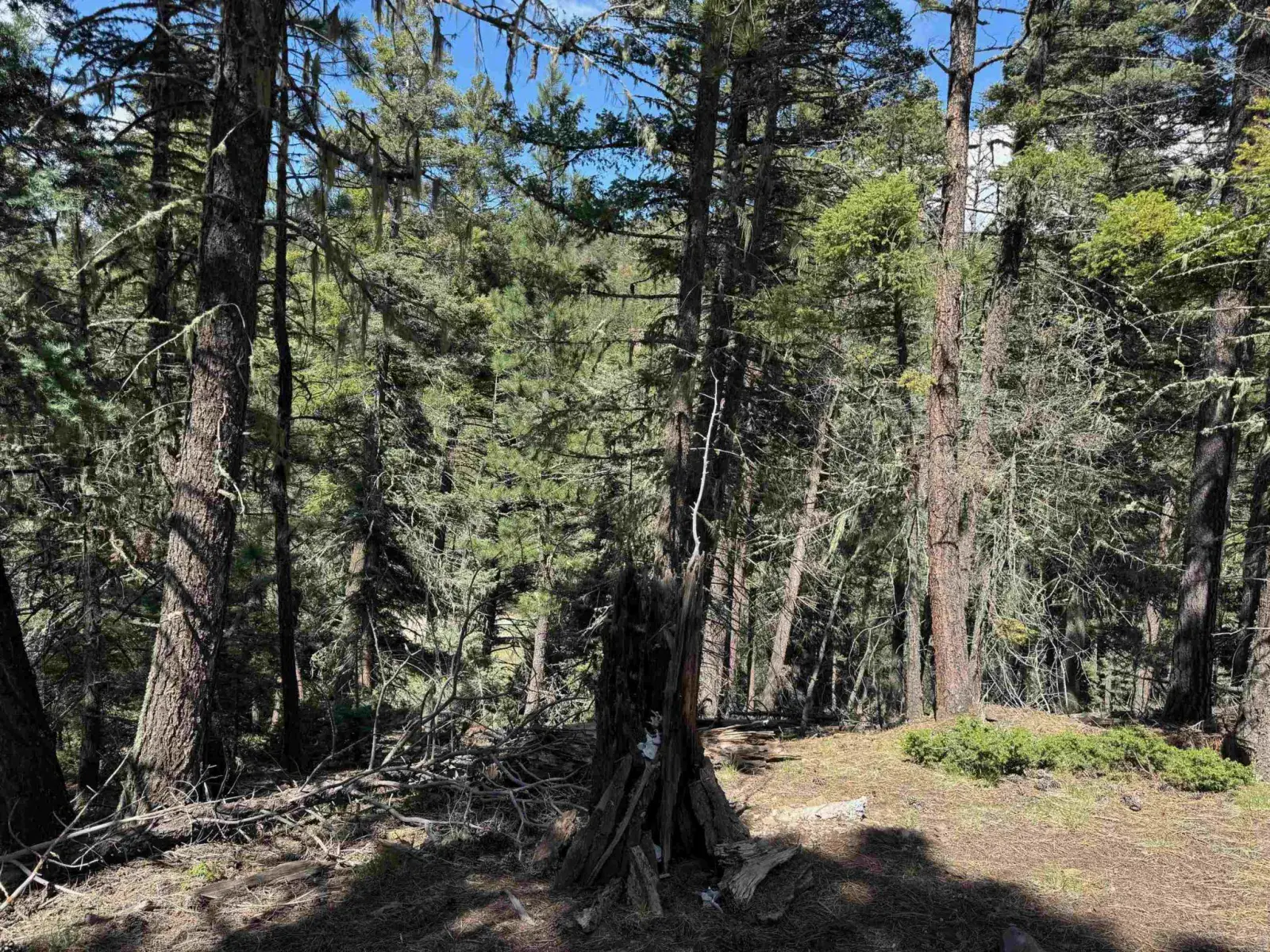 Lot 1662 El Vado Way