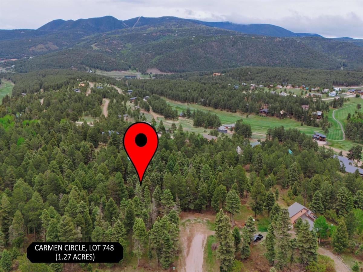 MLS #113467 image #0
