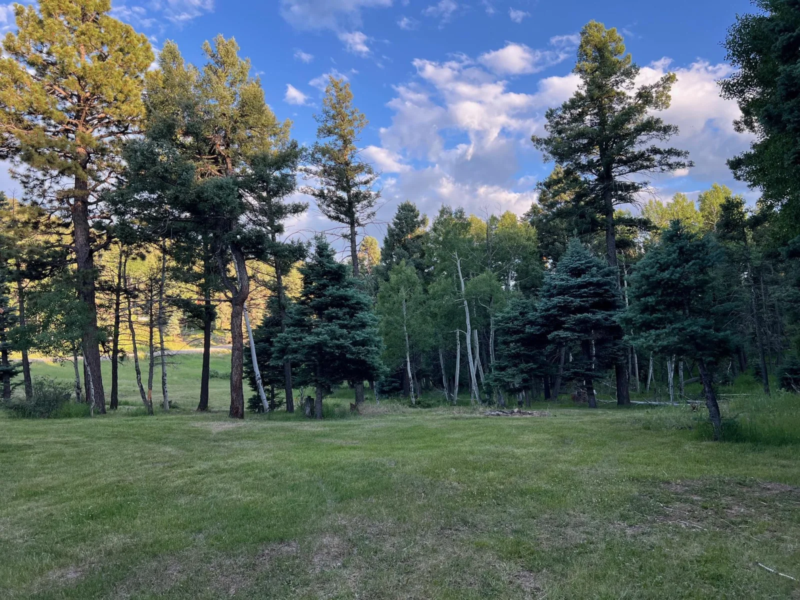 11 Vail Loop