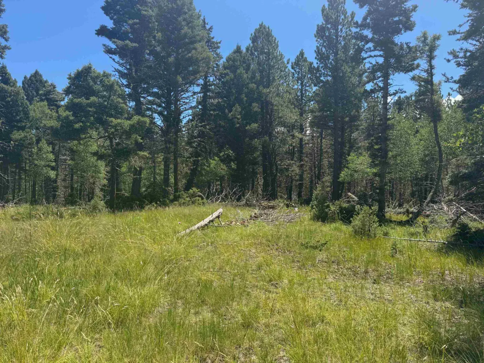 Lot 73 Calle de los Indios