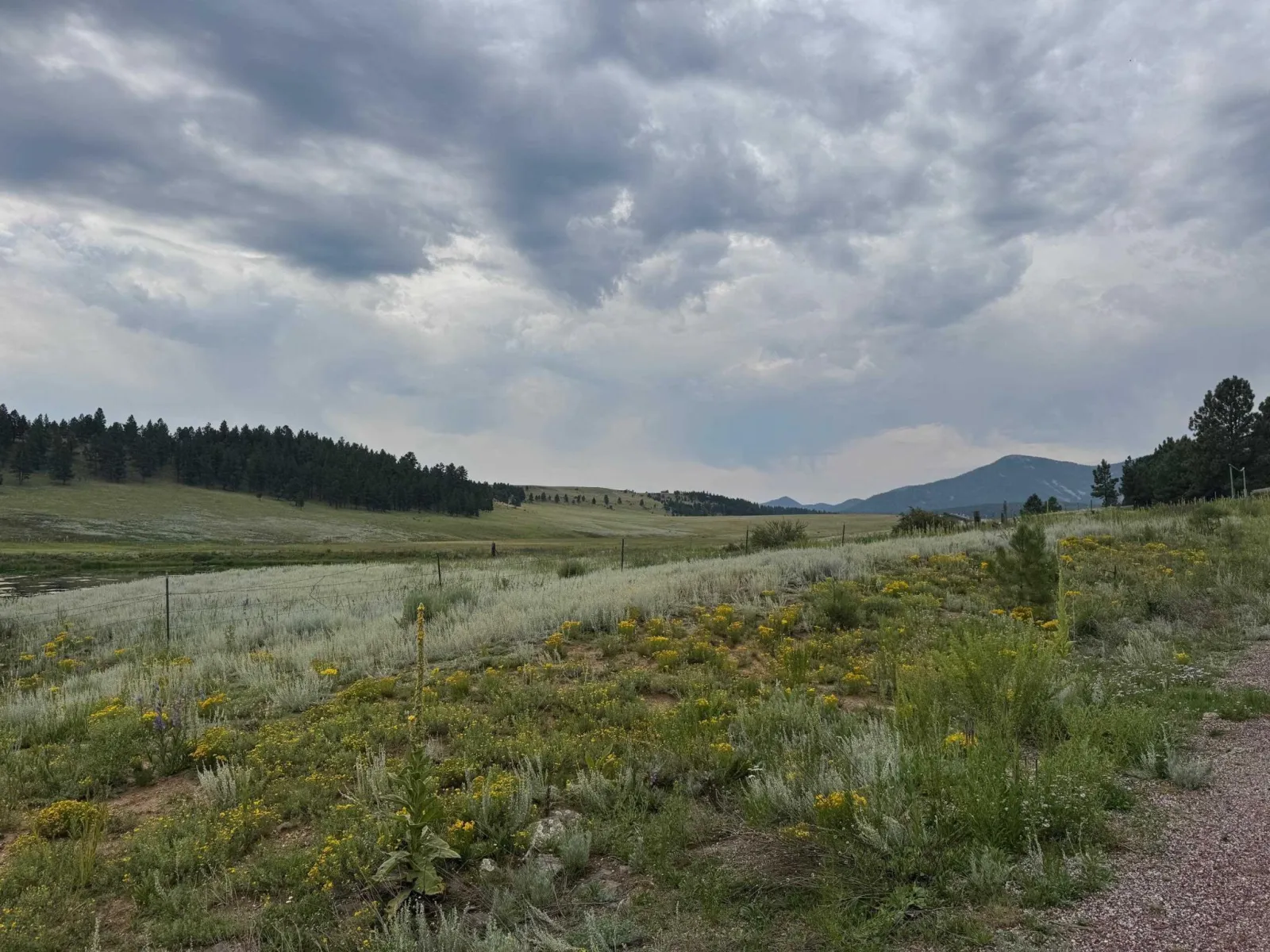 Lot 39 Whymans Black Lake Estates