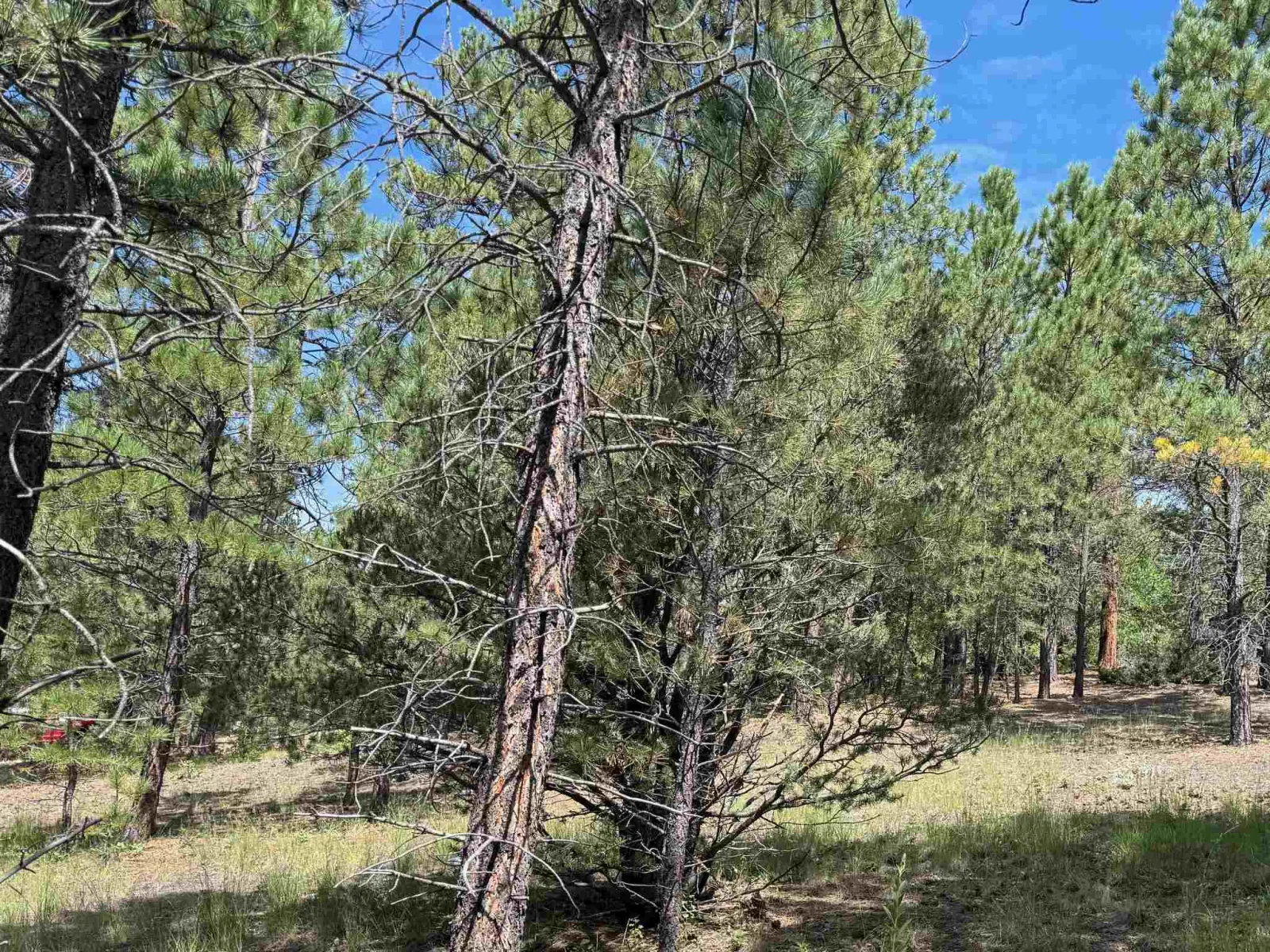 Lot 18 Upper Rd