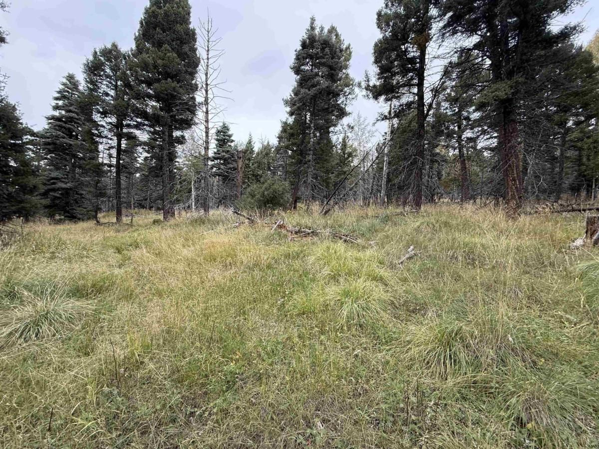 MLS #114025 image #0