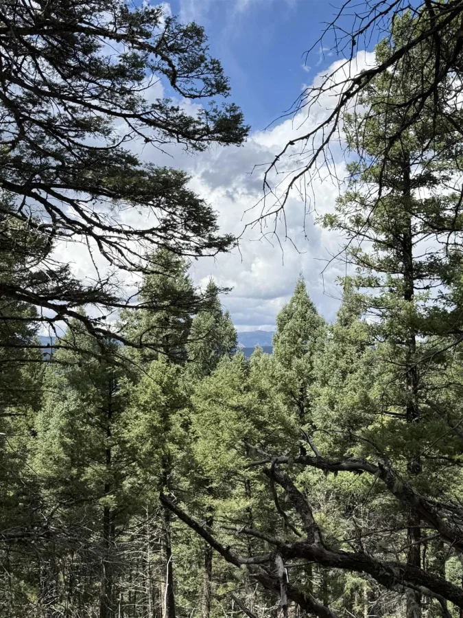 Lot 123 Valley Rd