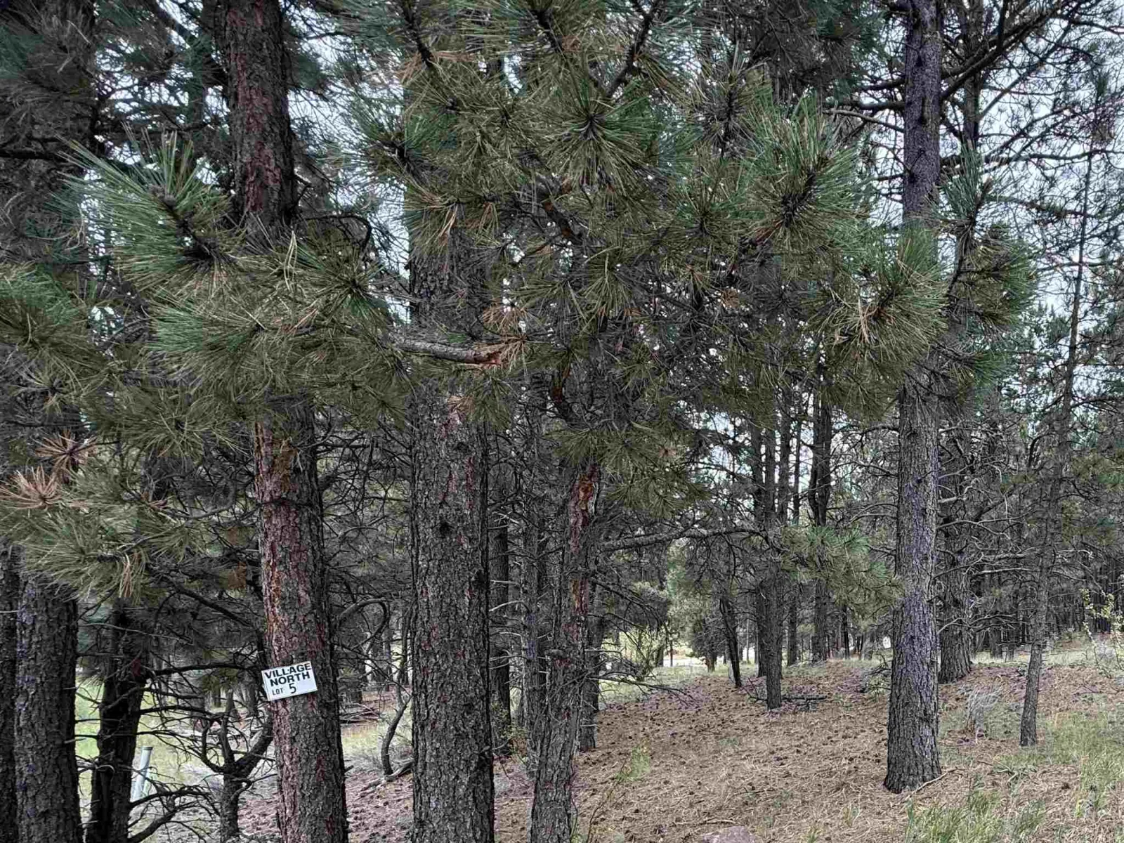 Lot 5 Valley Rd