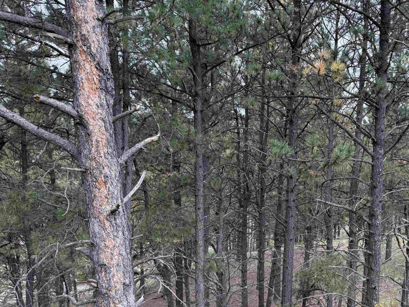 Lot 7 Valley Rd