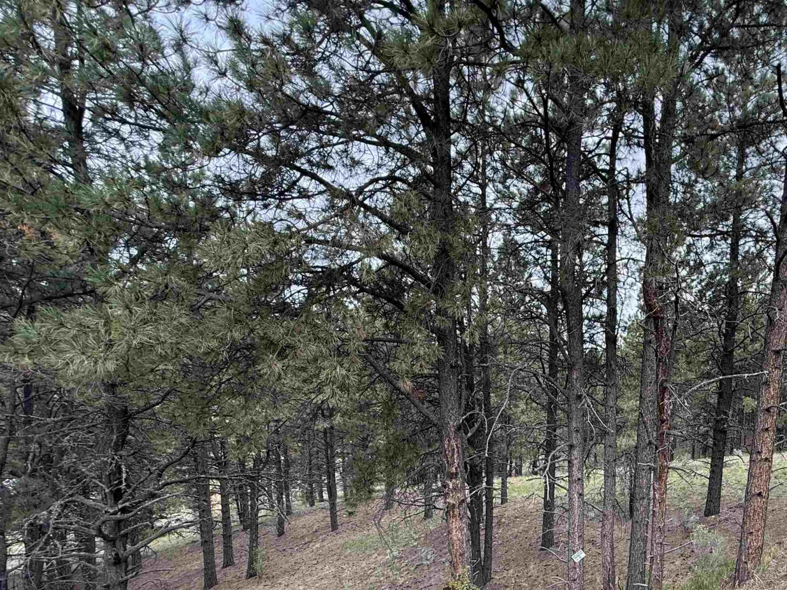 Lot 8 Valley Rd