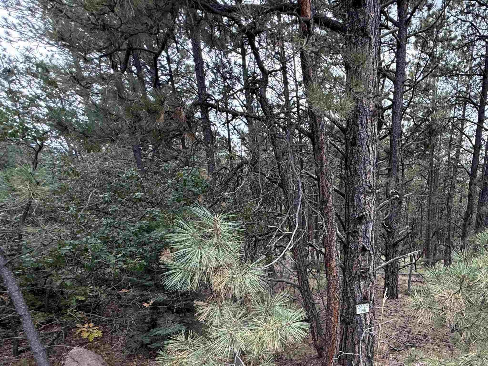 Lot 158 Aspen Pl