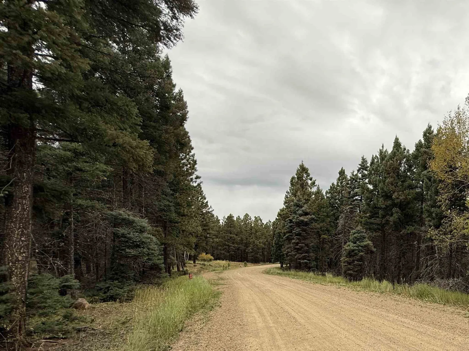 Lot 173 Snowbird Ln