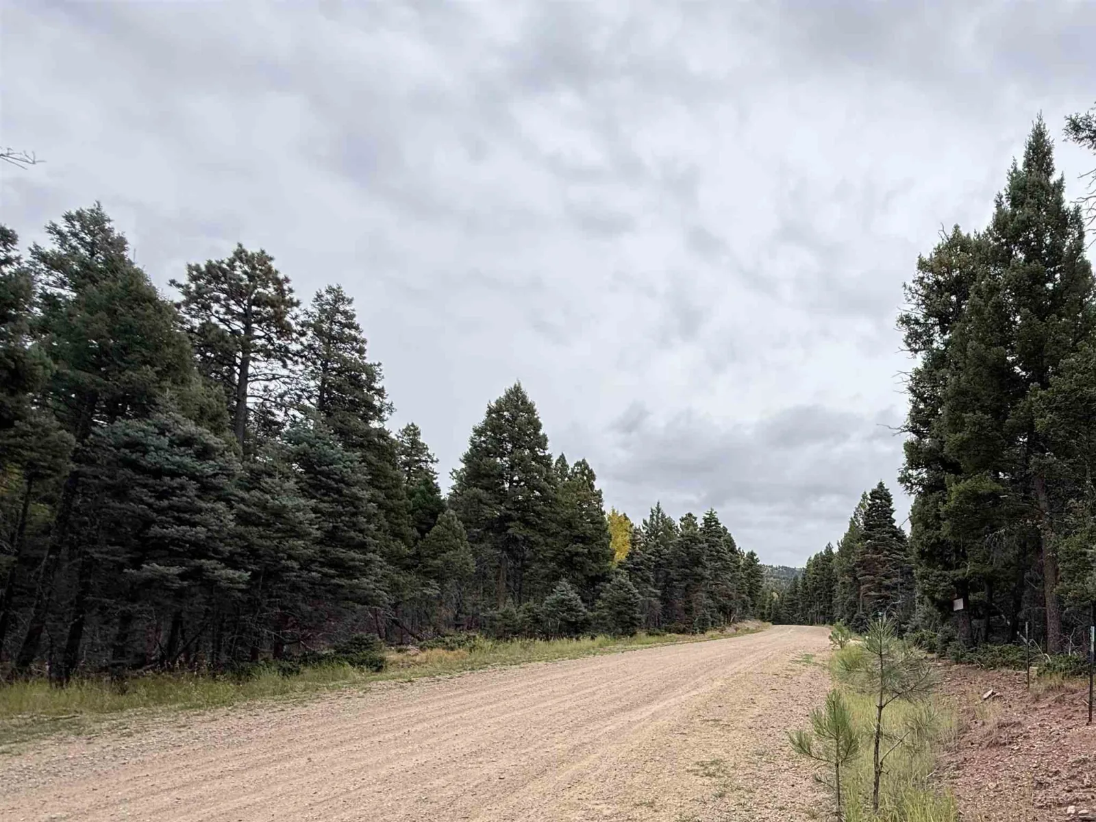 Lot 174 Snowbird Ln