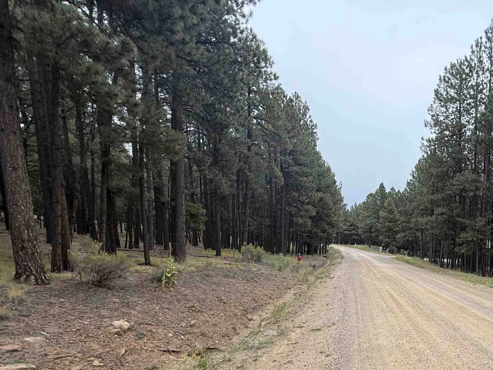 Lot 115 San Juan Dr