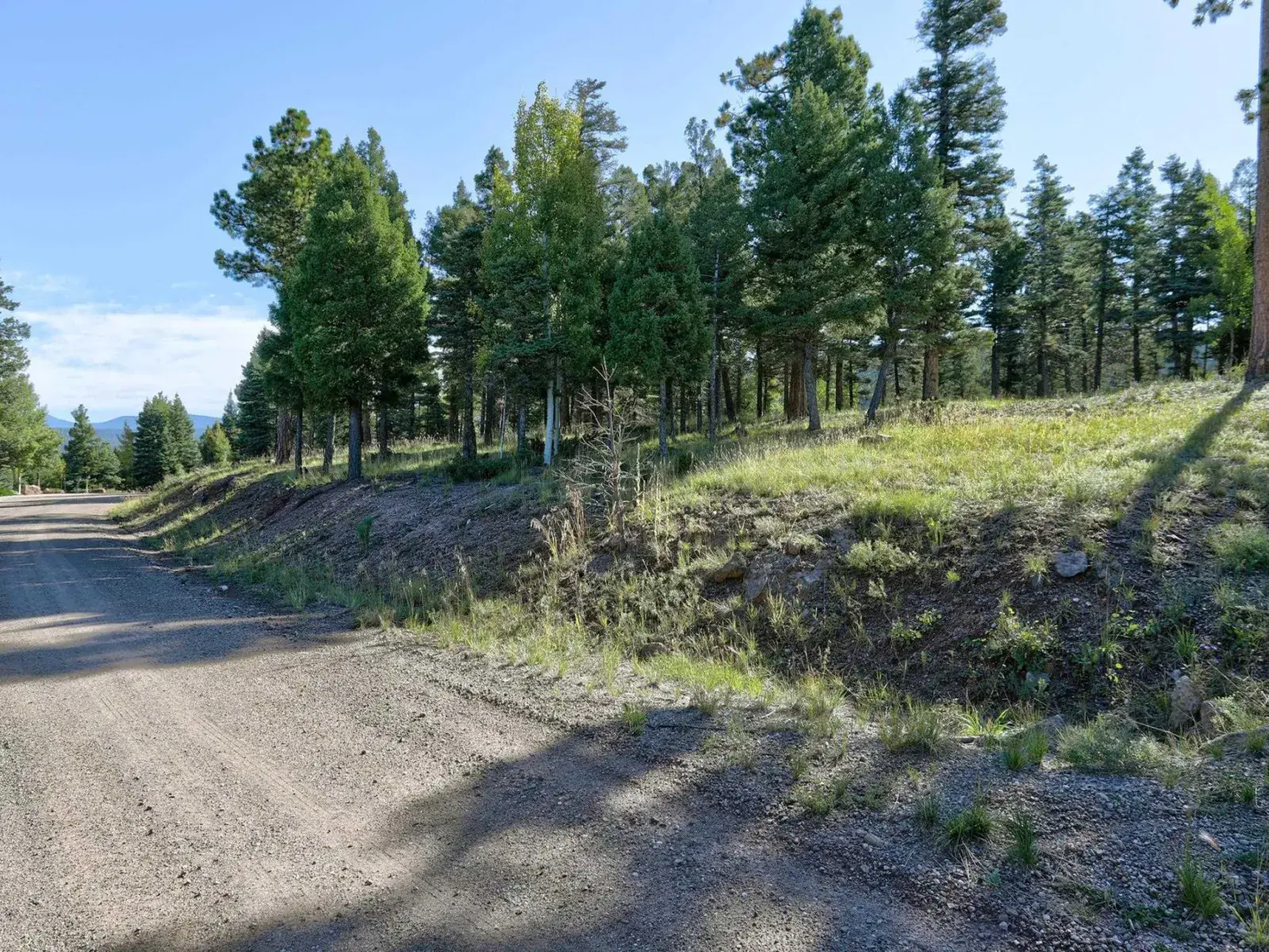 Lot 324 S Vail Overlook