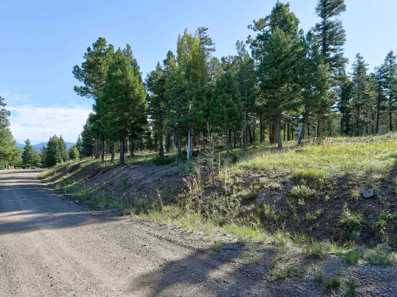 Lot 324 S Vail Overlook