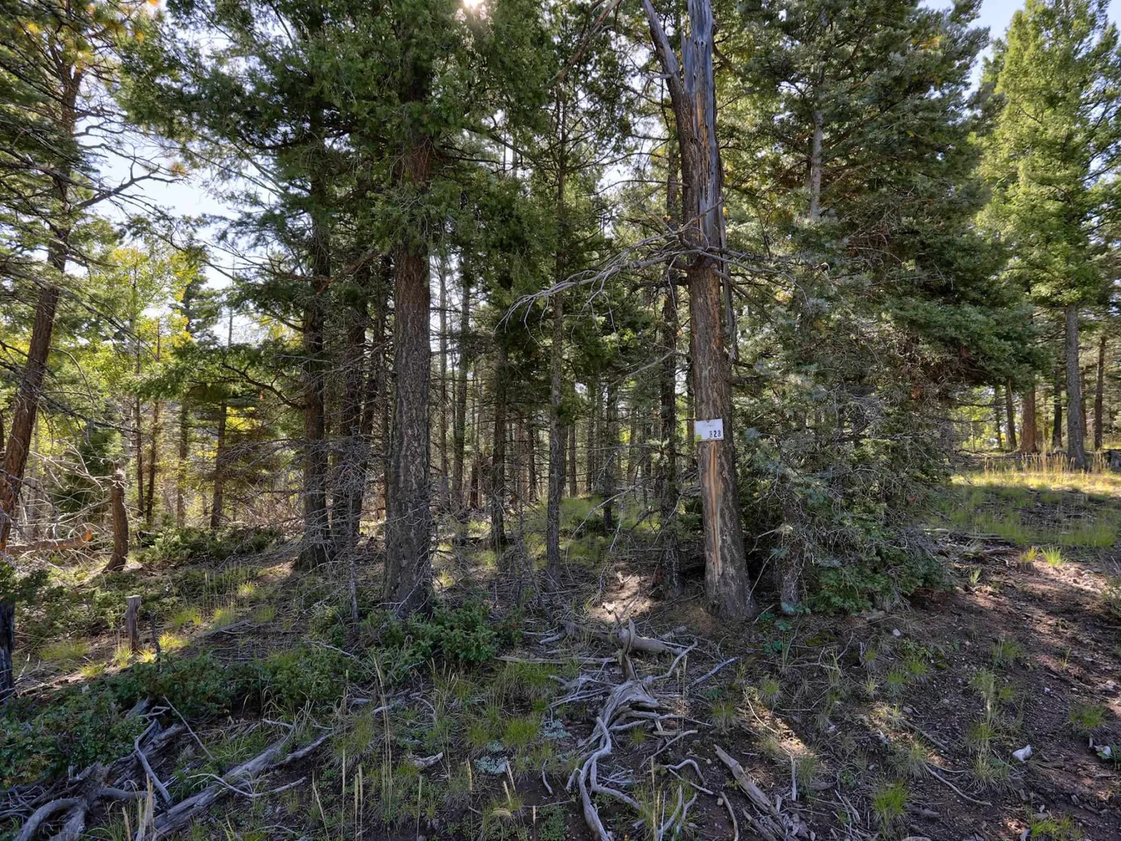 Lot 323 S Vail Overlook