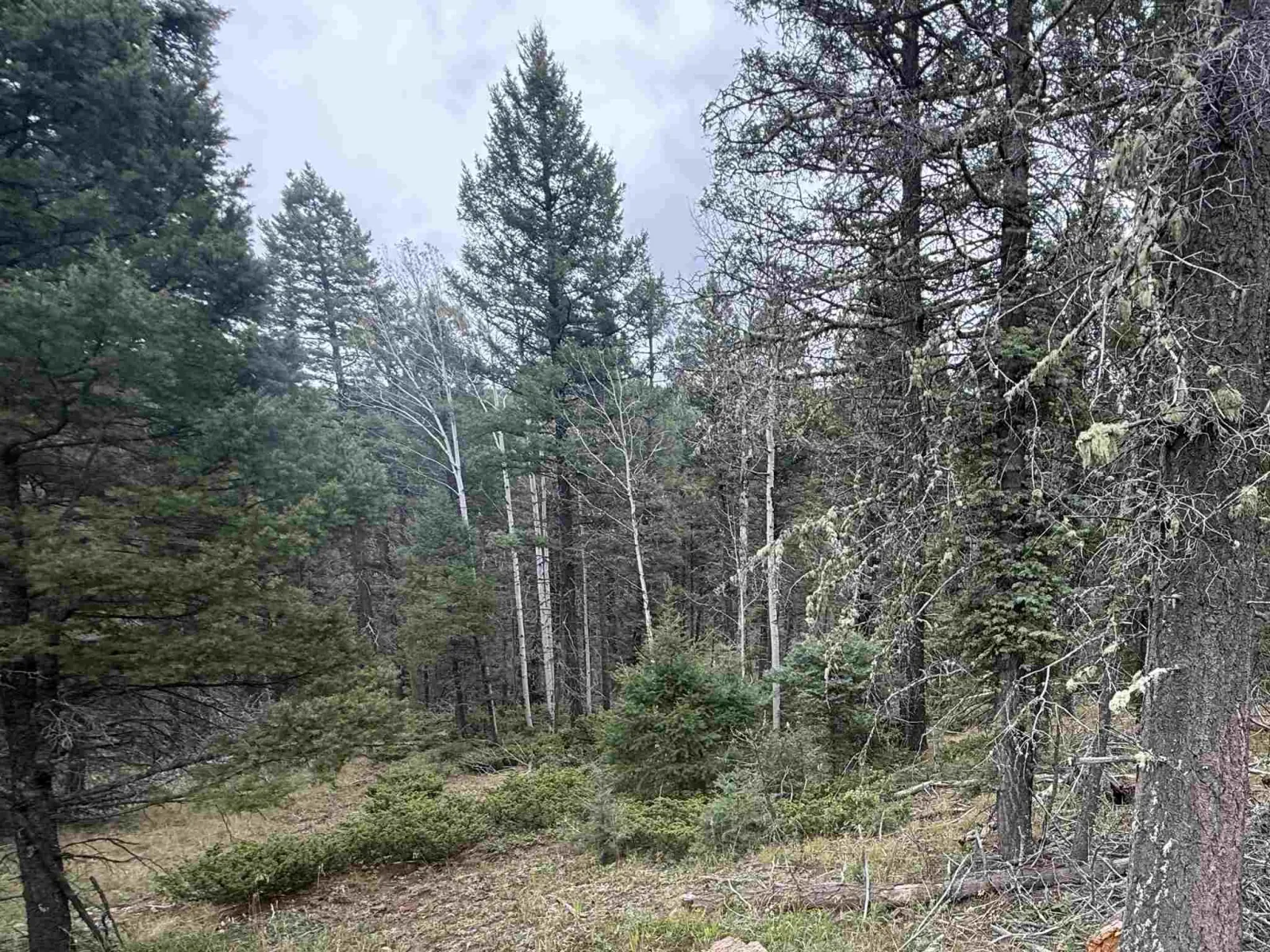 Lot 256 Back Basin Rd