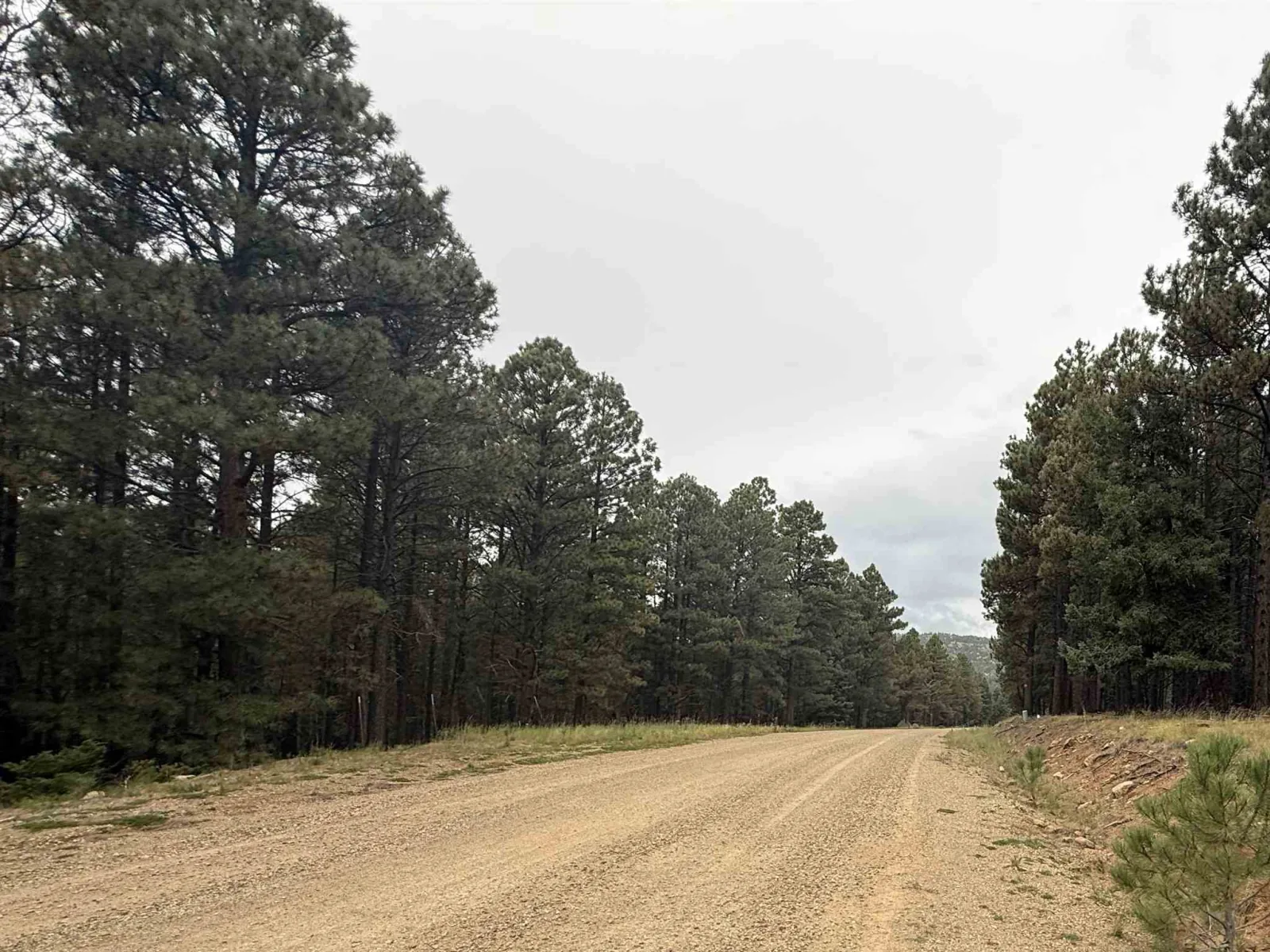Lot 106 San Juan Dr