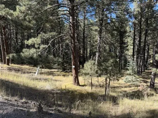 Lot 864 Conchas Drive