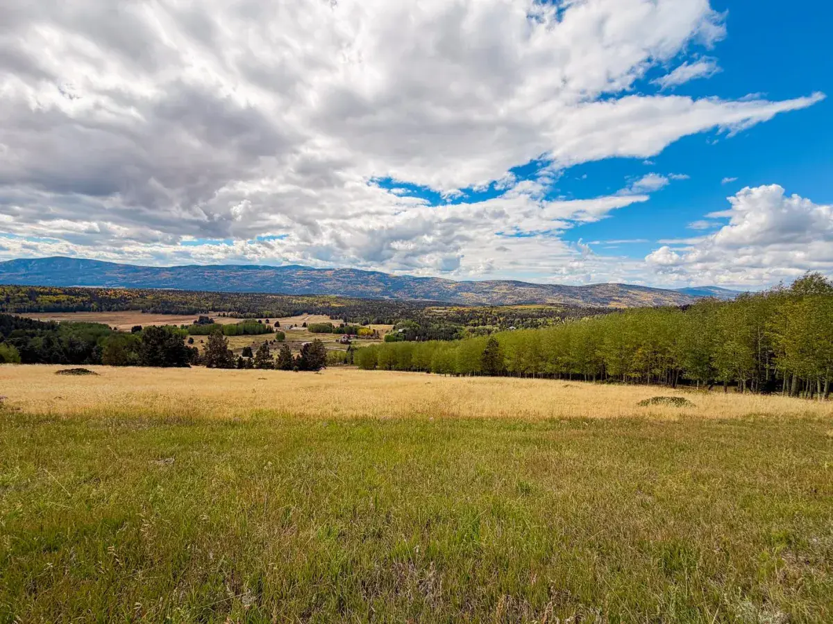 Lot 1620A Skyview Way