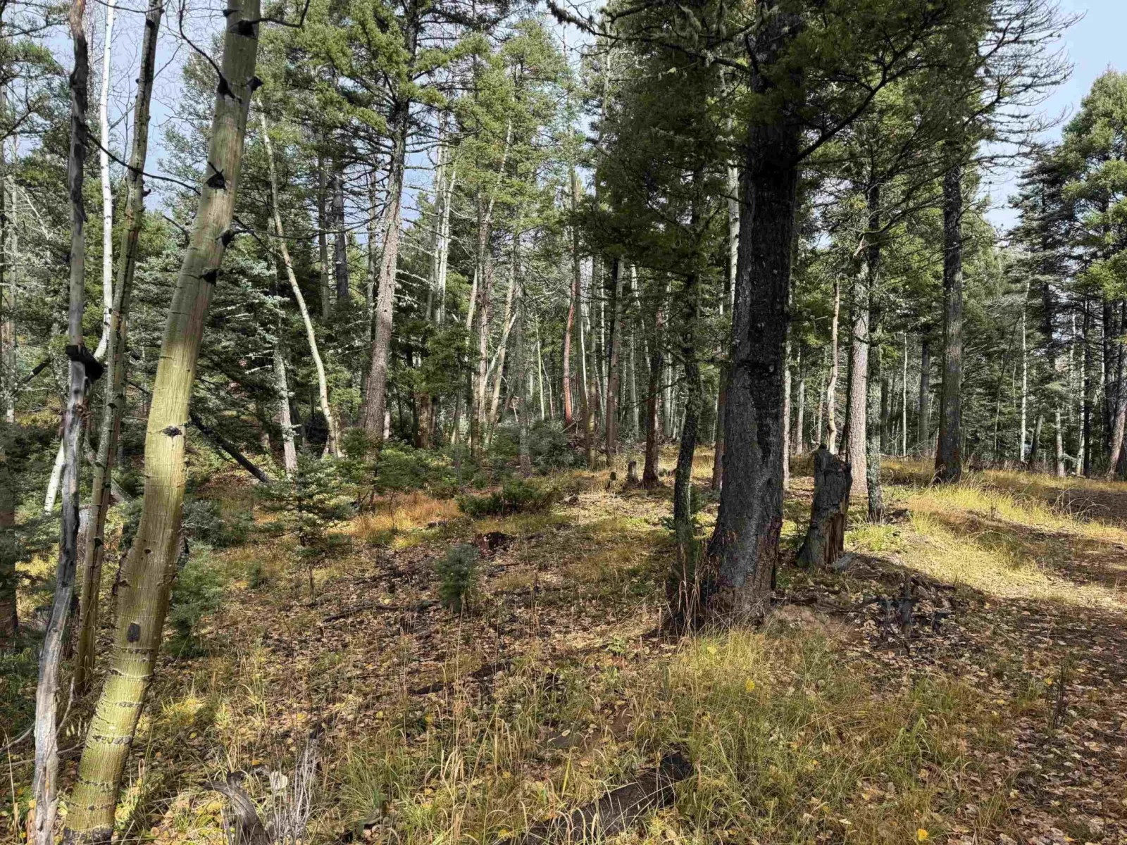 Lot 15 Vermejo Cir