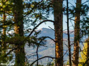 Lot 35 El Camino Real