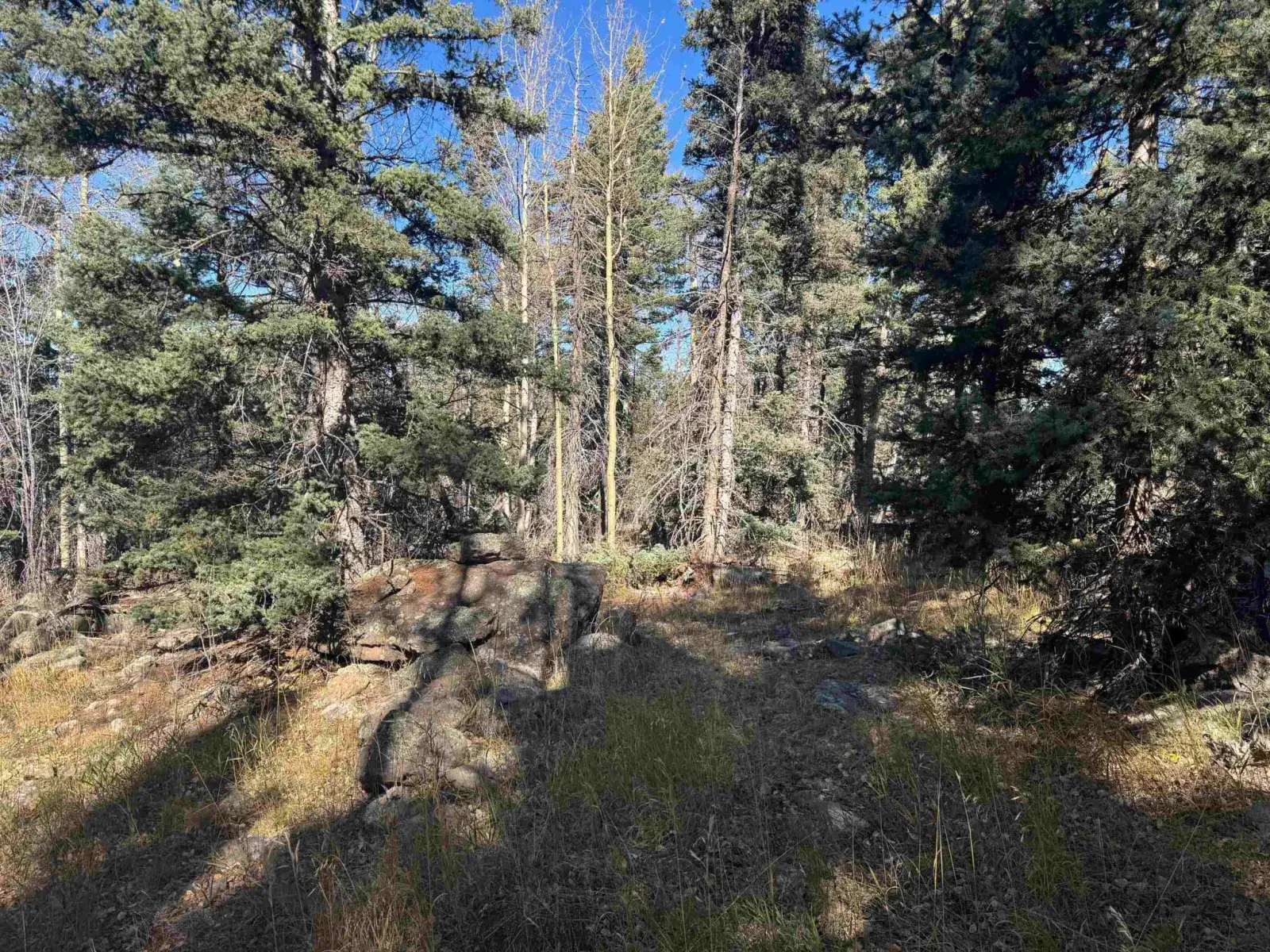 Lot 1227 Rainbow Overlook