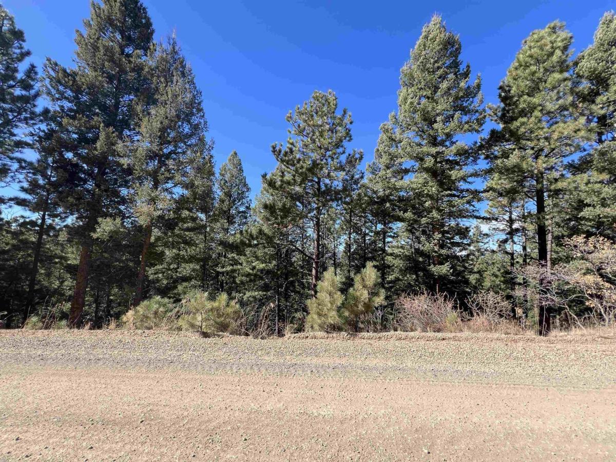 Lot 156 Back Basin Rd