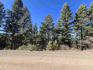 Lot 156 Back Basin Rd
