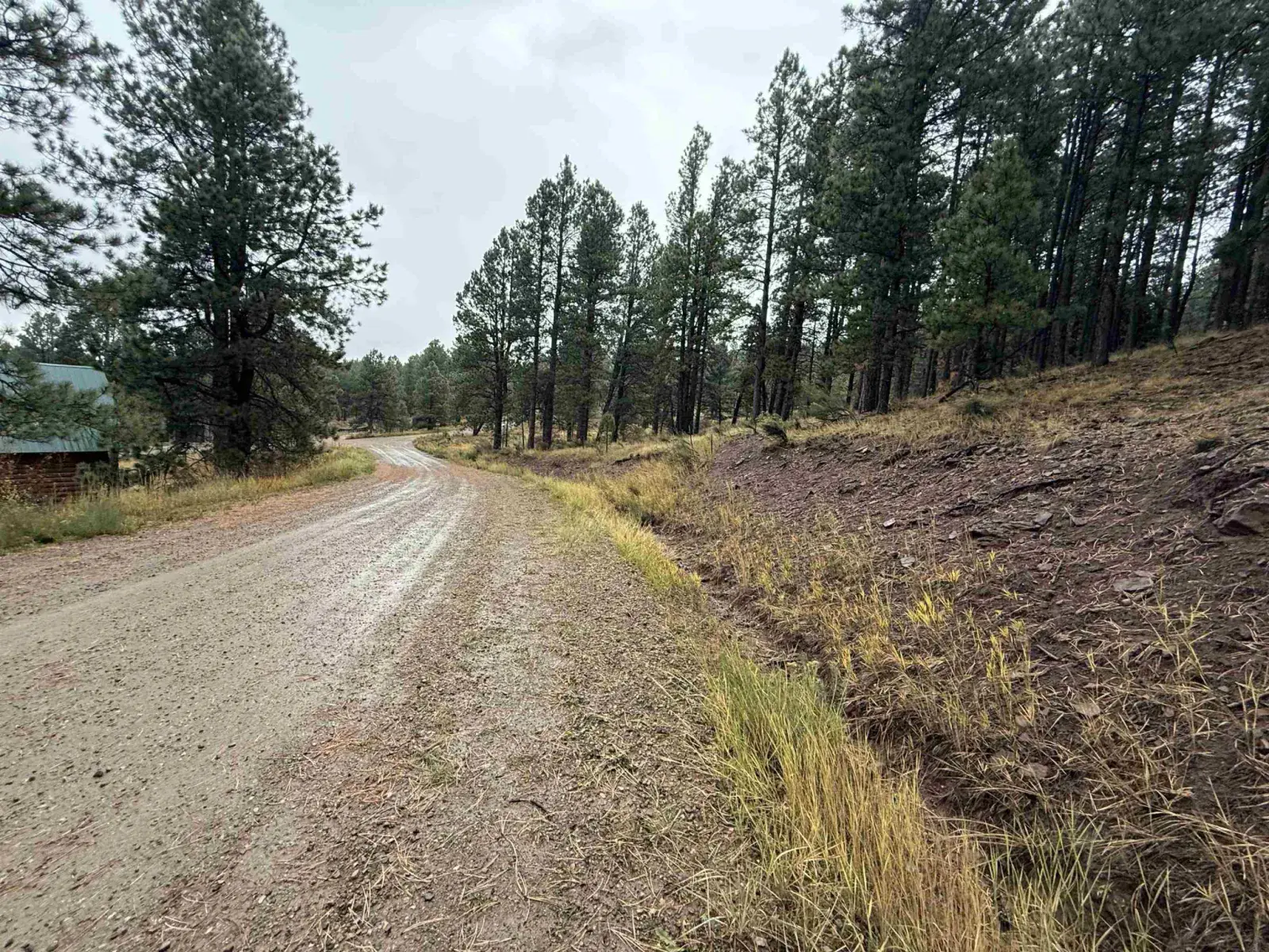 Lot 86 Mammoth Mountain Rd