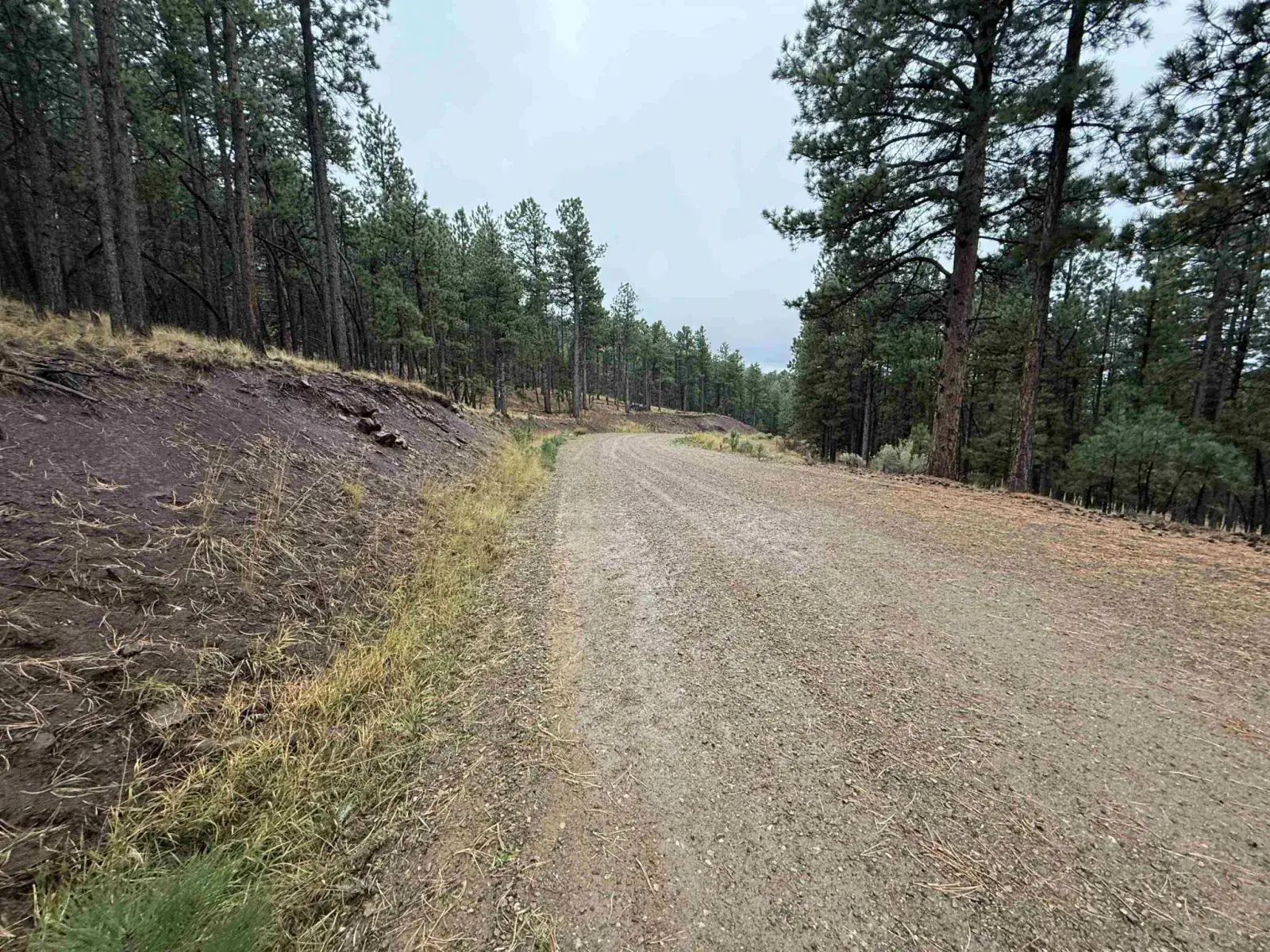 Lot 113 Alta Pl