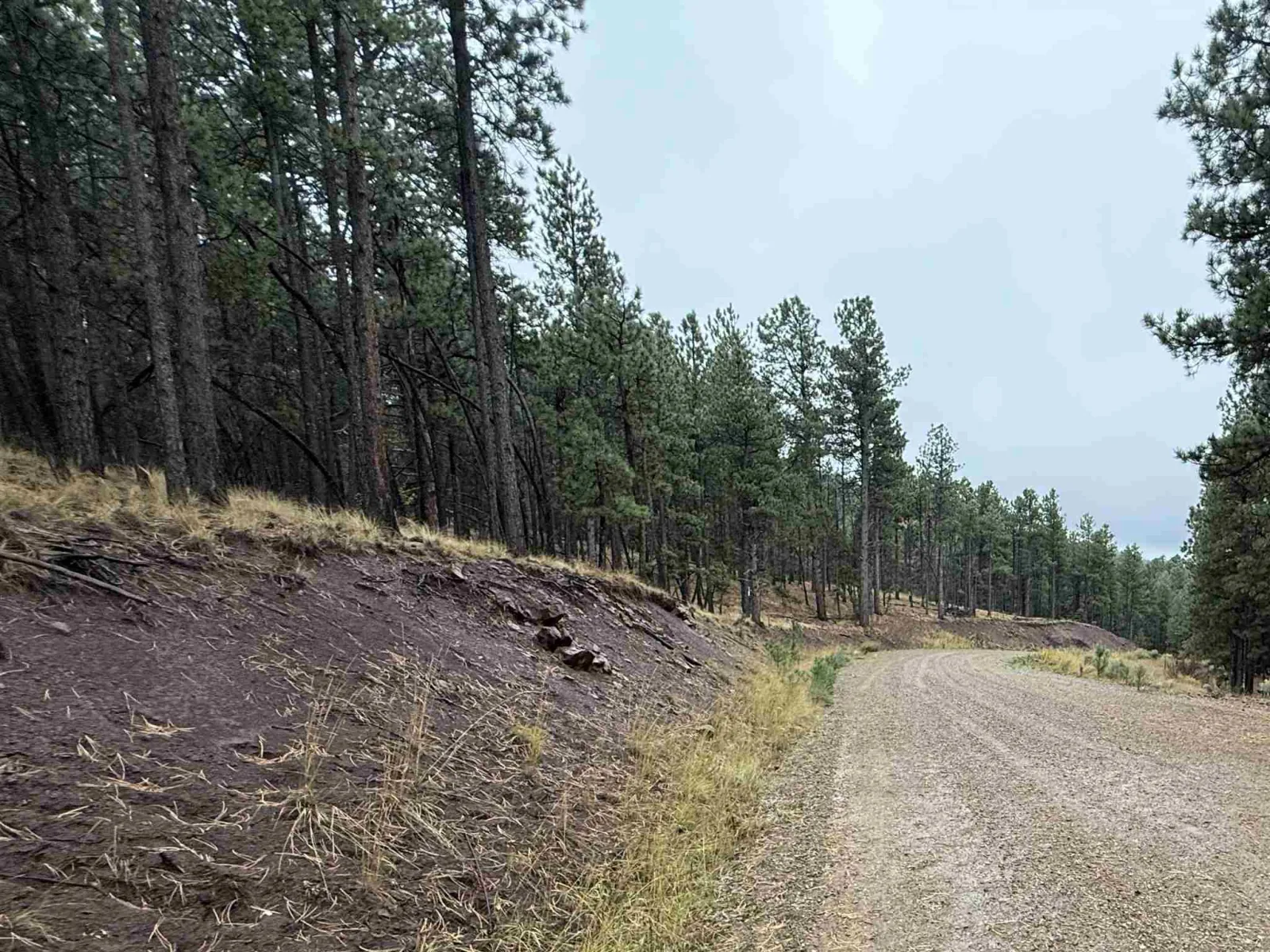 Lot 113 Alta Pl