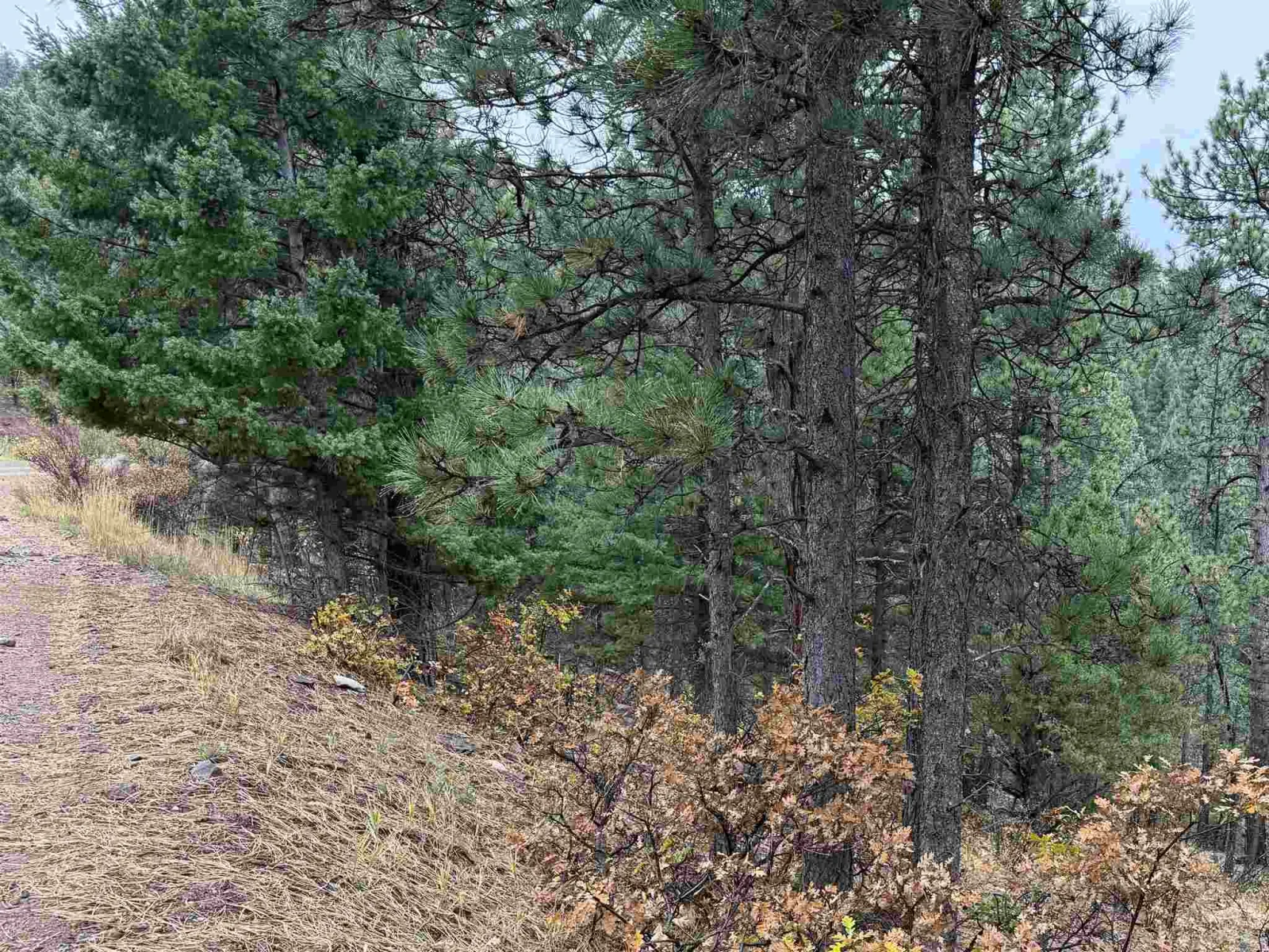 Lot 121 Valley Rd