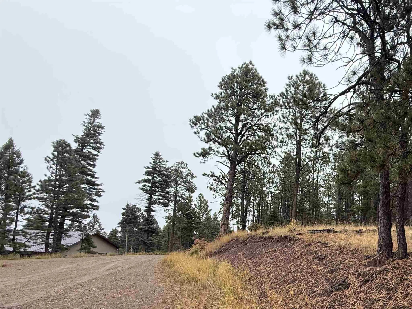 Lot 187 Taos Pl