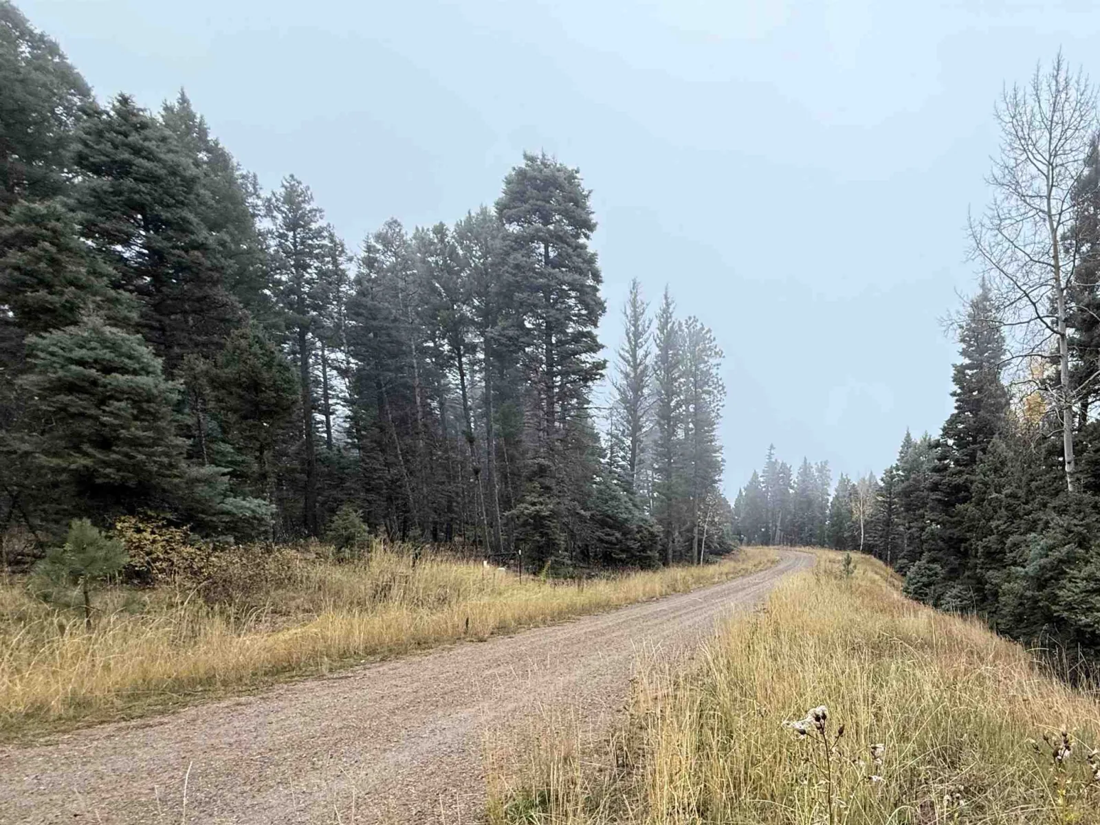 Lot 220 Peak Pl