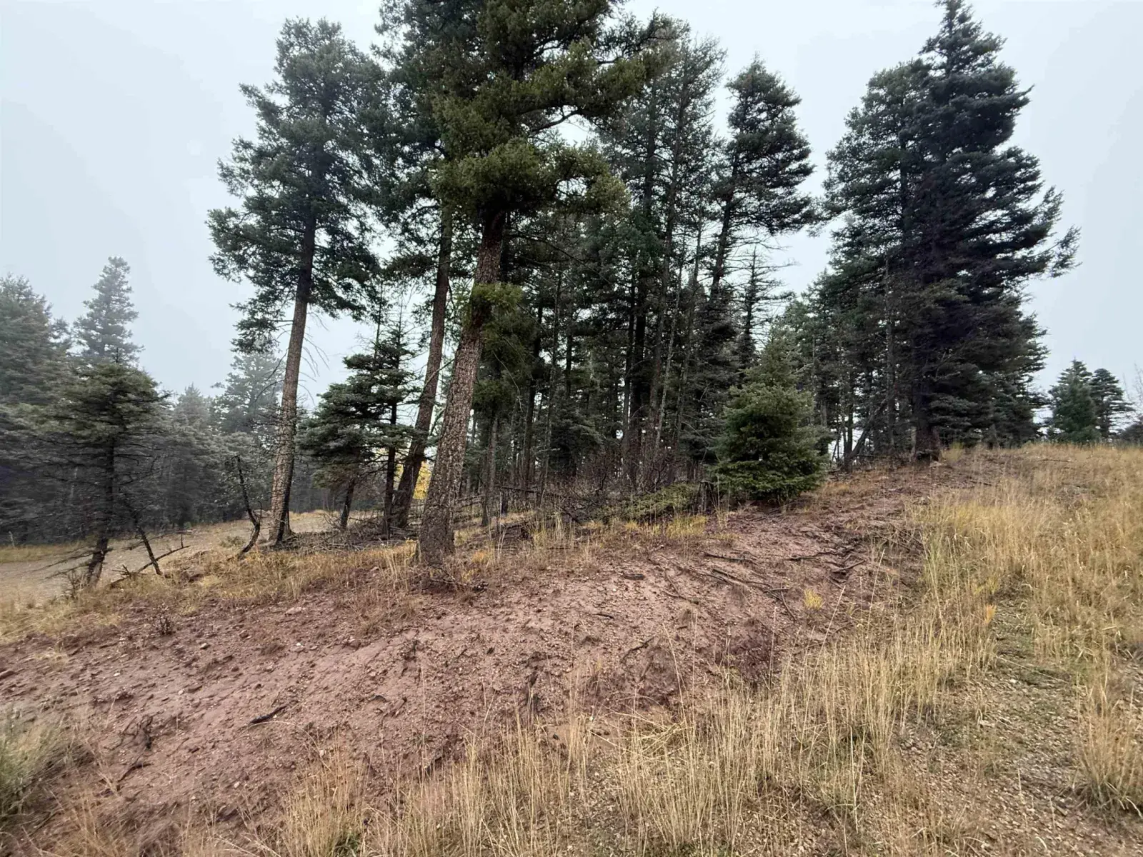 Lot 223 Steamboat Ln