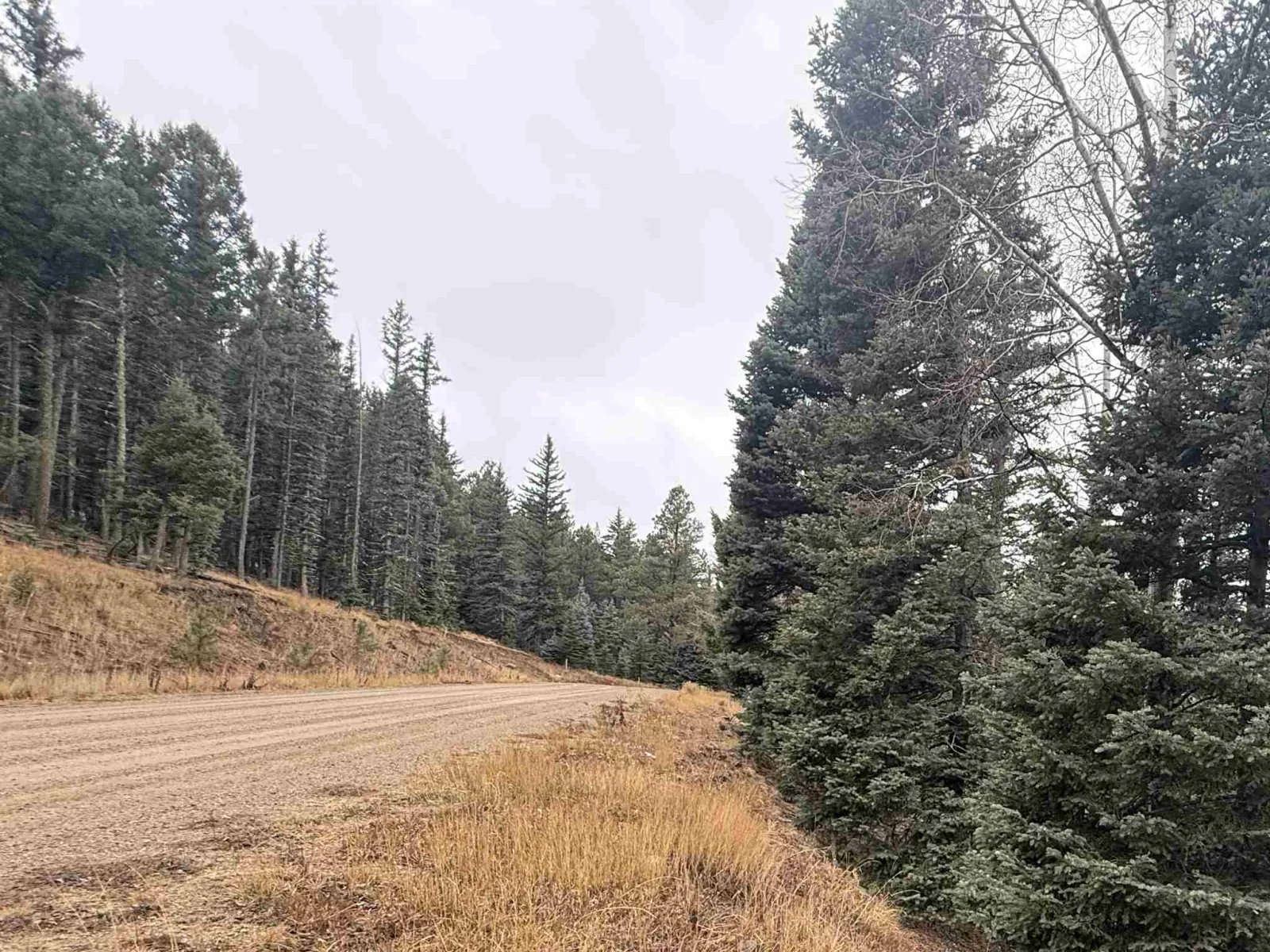 Lot 24 San Andres Terr