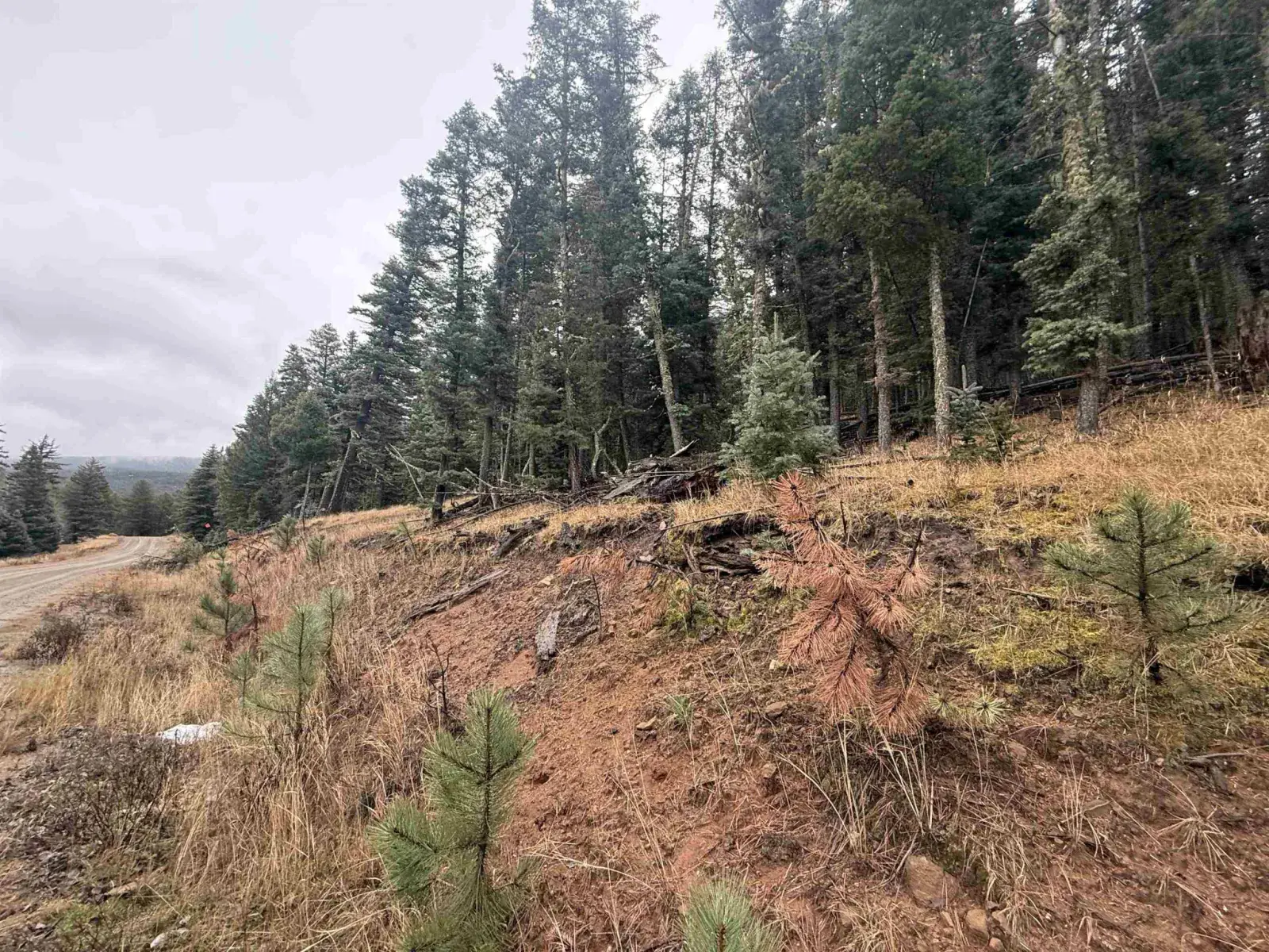 Lot 29 San Andres Terr