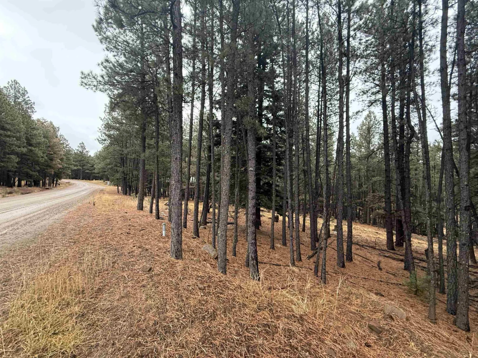 Lot 75 San Juan Dr